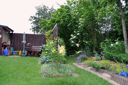gallery_26119_3904_39515.jpg
