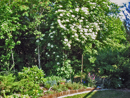 gallery_26119_3904_61405.jpg