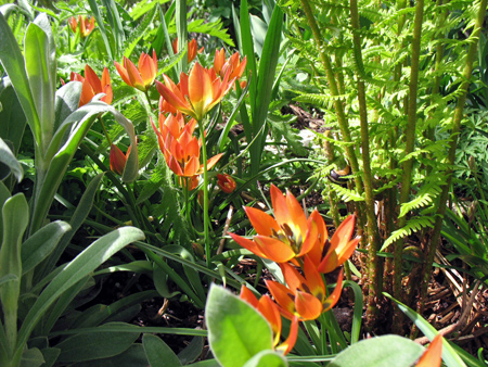 gallery_26119_3908_26260.jpg