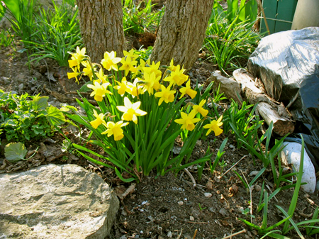 gallery_26119_3908_28372.jpg