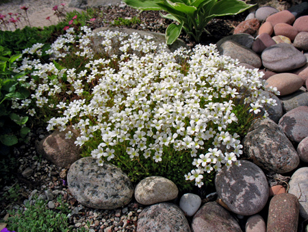 gallery_26119_3908_40890.jpg