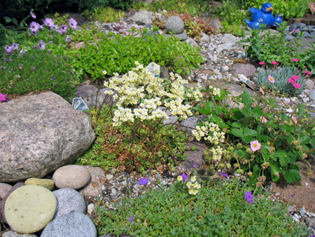 gallery_26119_3908_4874.jpg