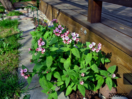gallery_26119_3908_88039.jpg