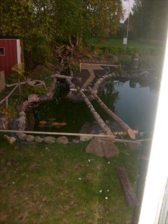 gallery_10191_2848_66197.jpg