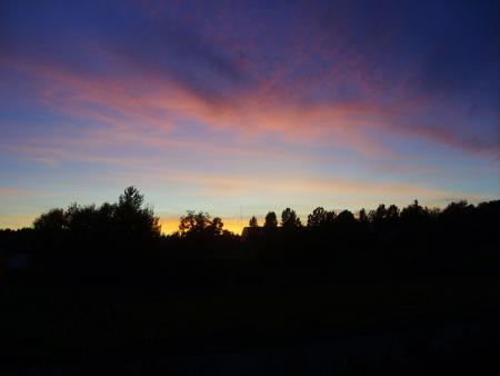 gallery_22761_3886_72981.jpg