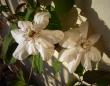 tn_gallery_5306_308_201804.jpg