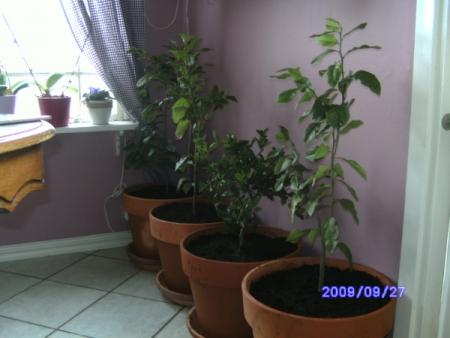 gallery_14396_3912_14071.jpg