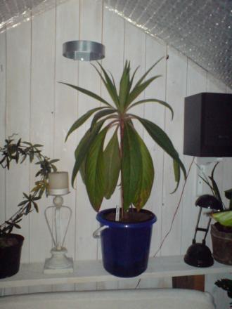 gallery_17820_3939_62732.jpg