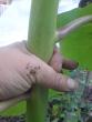 tn_gallery_17820_3939_10555.jpg