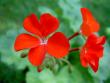 tn_gallery_9377_3942_23834.jpg