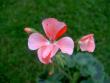 tn_gallery_9377_3942_8833.jpg