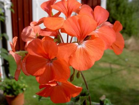 gallery_9377_3942_36210.jpg