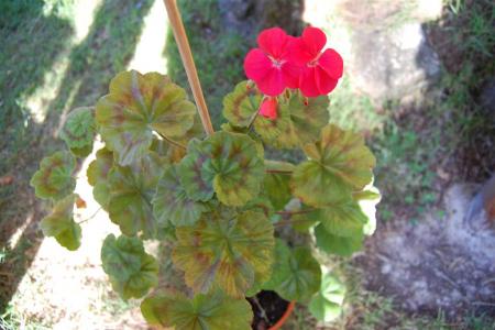 gallery_9377_3942_38197.jpg