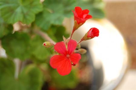 gallery_9377_3942_6115.jpg