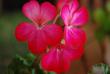 tn_gallery_9377_3942_17605.jpg