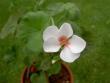tn_gallery_9377_3942_19362.jpg