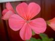 tn_gallery_9377_3942_22180.jpg
