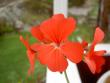 tn_gallery_9377_3942_5373.jpg