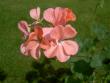 tn_gallery_9377_3942_6794.jpg