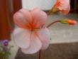 tn_gallery_9377_3942_8829.jpg