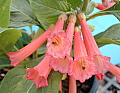 gallery_3363_60_7190.jpg