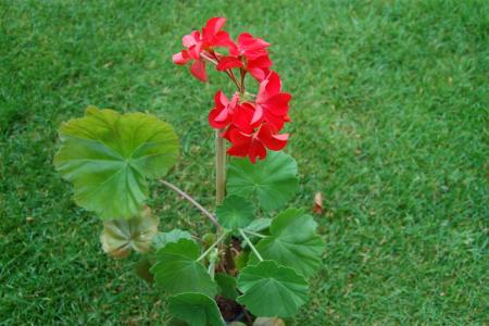 gallery_9377_3942_14383.jpg