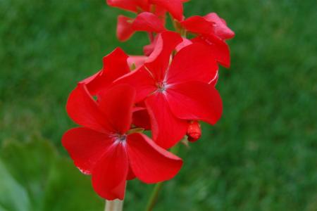 gallery_9377_3942_38651.jpg