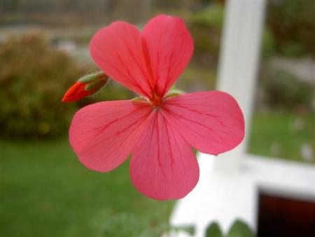 gallery_9377_3942_8032.jpg