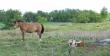 tn_gallery_2529_1144_34865.jpg