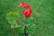 tn_gallery_9377_3942_14383.jpg