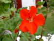 tn_gallery_9377_3942_21930.jpg