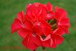 tn_gallery_9377_3942_26567.jpg