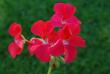 tn_gallery_9377_3942_28391.jpg