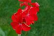 tn_gallery_9377_3942_38651.jpg