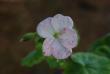 tn_gallery_9377_3942_4490.jpg