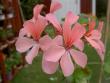tn_gallery_9377_3942_6623.jpg
