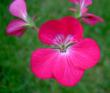 tn_gallery_9377_3942_7829.jpg