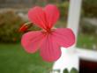 tn_gallery_9377_3942_8032.jpg