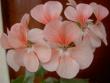 tn_gallery_9377_3942_9583.jpg