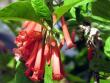 tn_gallery_3363_60_42686.jpg
