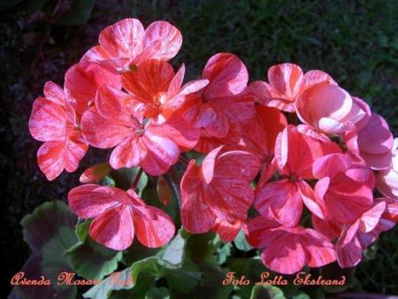 gallery_9377_3958_62677.jpg