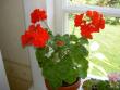 tn_gallery_9377_3958_41827.jpg