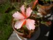 tn_gallery_9377_3958_8728.jpg