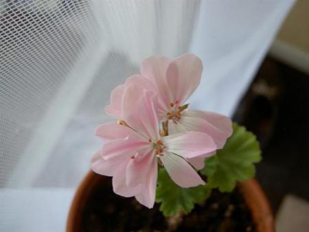 gallery_9377_3959_32439.jpg