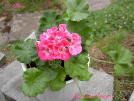 gallery_9377_3959_42323.jpg