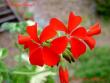 tn_gallery_9377_3958_29167.jpg