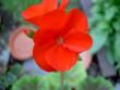 tn_gallery_9377_3959_14951.jpg