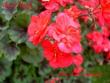 tn_gallery_9377_3959_3003.jpg