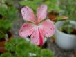 tn_gallery_9377_3959_7831.jpg