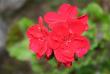 tn_gallery_9377_3959_14082.jpg